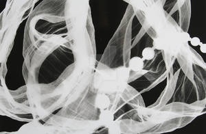 Photogram