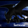 HtTYD - Toothless