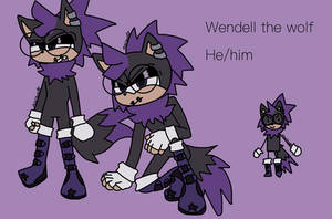 Wendell the wolf // sonic oc