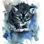 Blue Cat