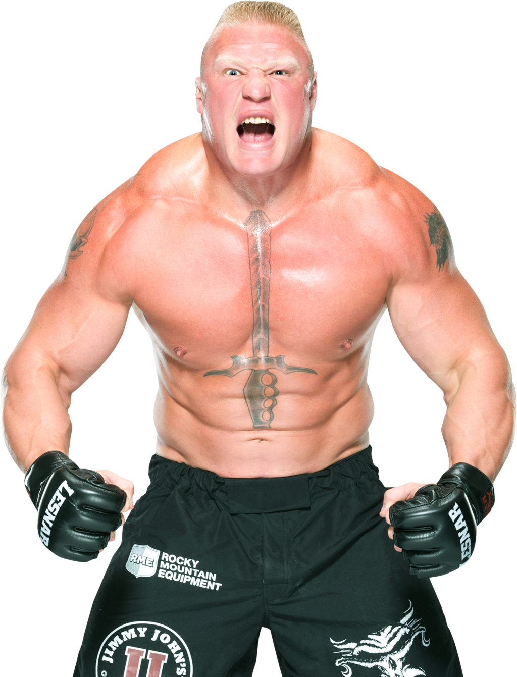 Brock Lesnar 2016 by NuruddinAyobWWE on DeviantArt