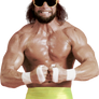 Macho Man Randy Savage WWE