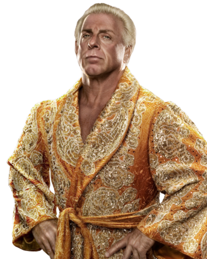 WWE 2K15 Nature Boy Ric Flair by NuruddinAyobWWE on DeviantArt