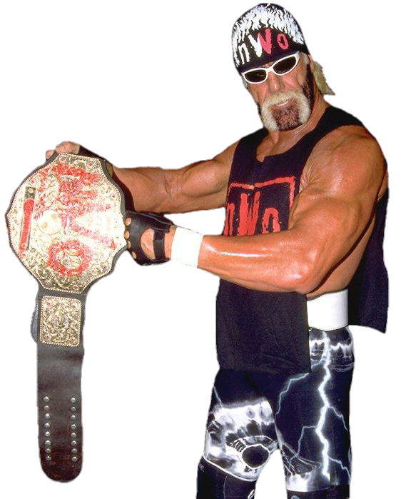 Hollywood Hogan NWO World Heavyweight Champion by NuruddinAyobWWE on ...