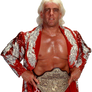 Ric Flair WCW World Heavyweight Champion