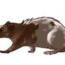 Brown Piebald Rat Familiar