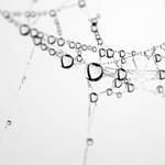 The Matrix has you by Rosse-San