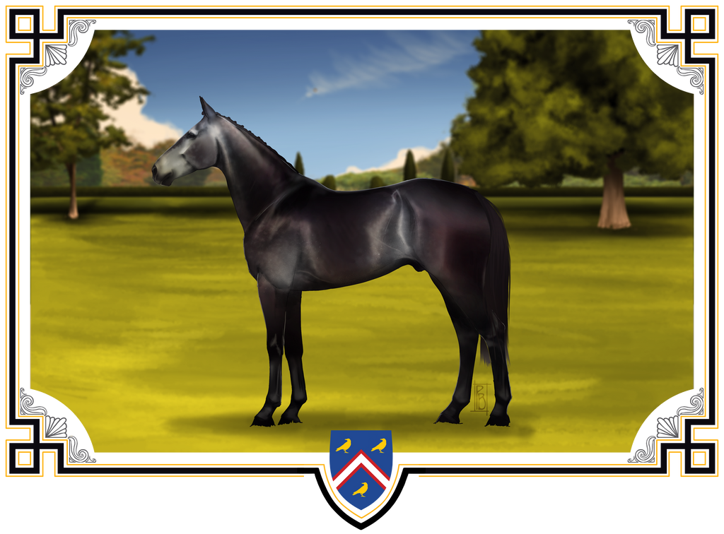 Black Sails by Infersea on DeviantArt