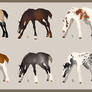 Sept Adopts 6/10 open