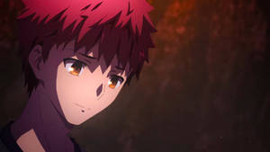 Fate Stay Night Heaven S Feel 3 Wallpaper Flowers By Radex5 On Deviantart Fate Stay Night Heaven S Feel 3 Wallpaper Flowers By Radex5 On Deviantart