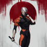 Gray Fox Sketch