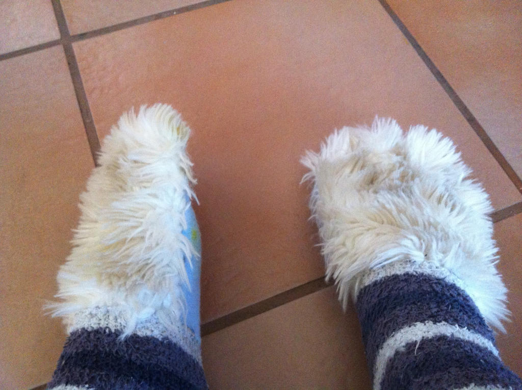 Furry Toe socks by Axelvolf on DeviantArt