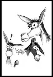 Donkey