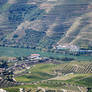 Douro Valley 1416