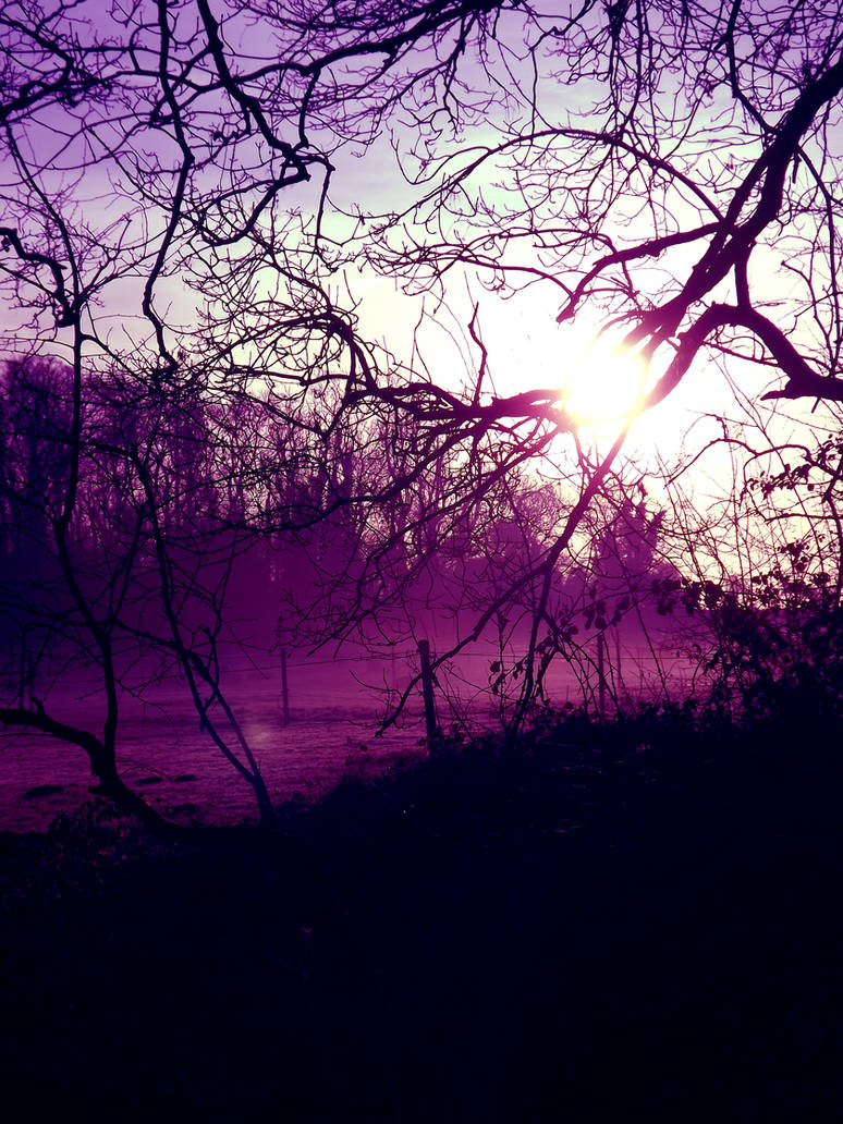 Purple mist