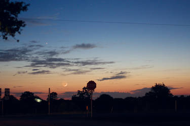 Brazos Bend State Park