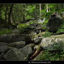 Smoky MTS-Timeless Perfection