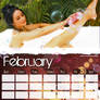 2009 Calendar Feb