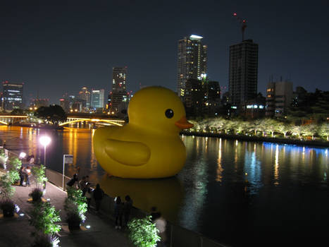 Giant Rubber Duck 03