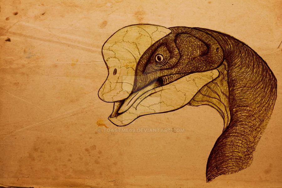 Oviraptor