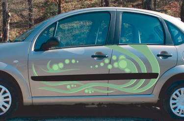 Car Decal 3