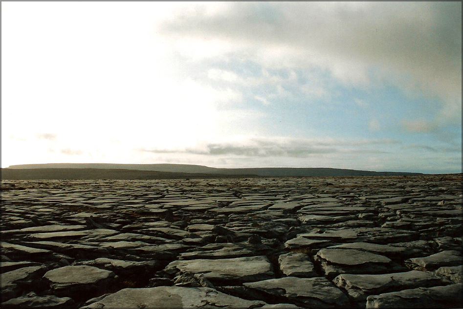 Ireland XI