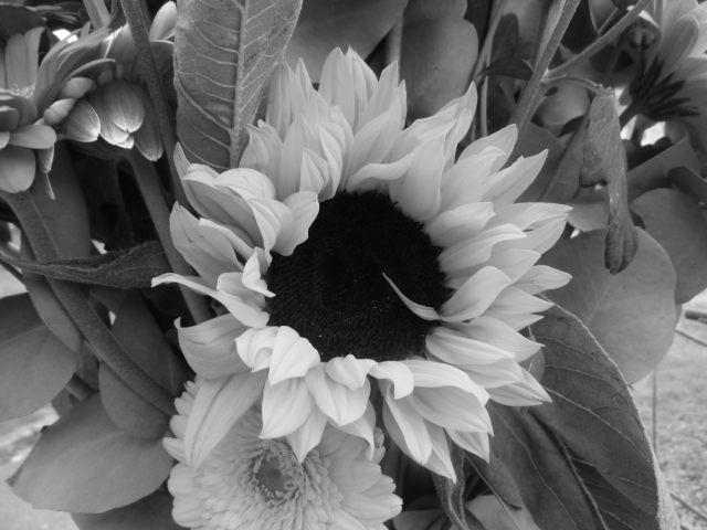 BW Flower