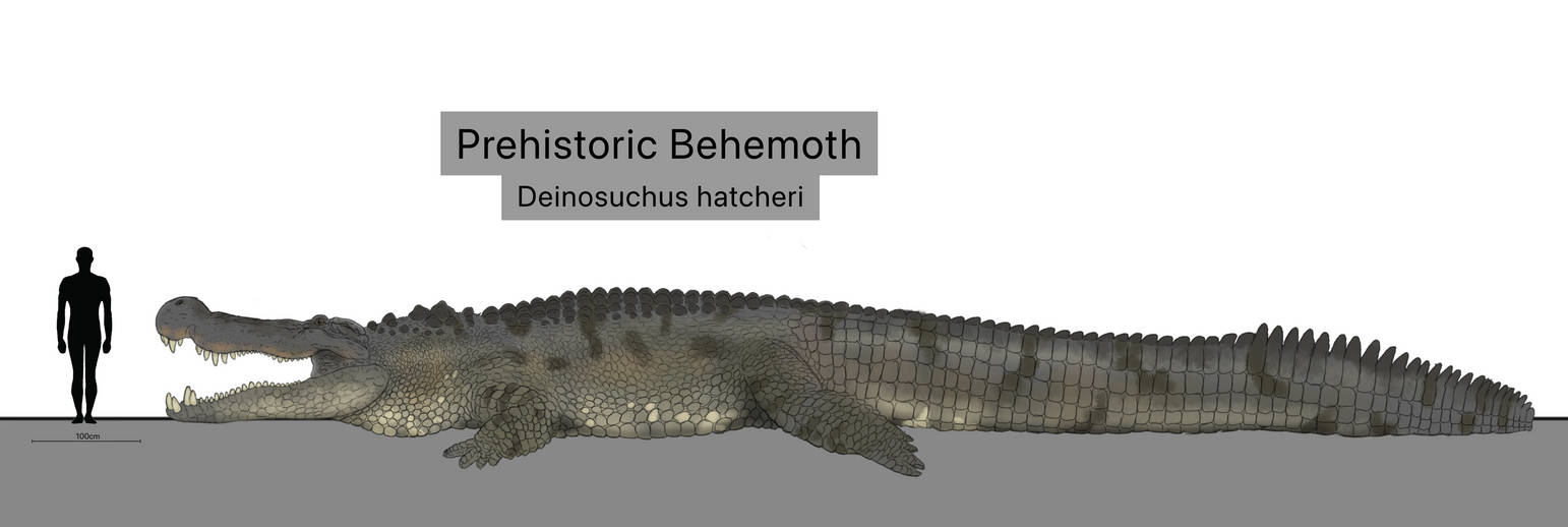 Deinosuchus Hatcheri P2 By Sobek1926 On DeviantArt deinosuchus-hatcheri-p2-by-sobek1926-on-deviantart