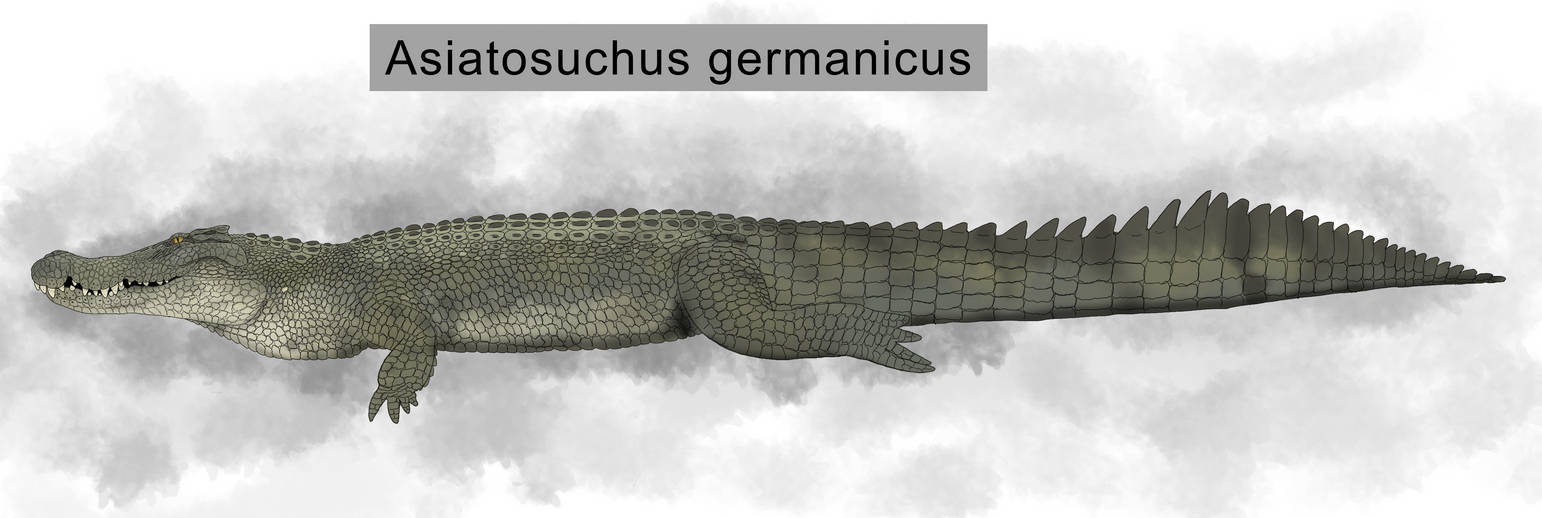 Asiatosuchus germanicus by Sobek1926 on DeviantArt