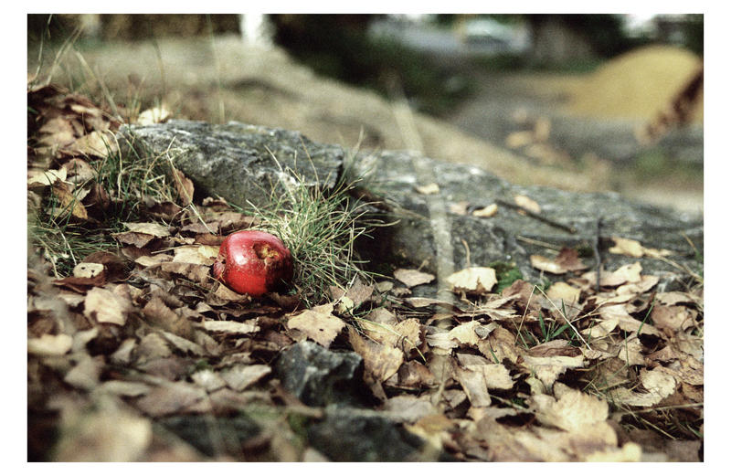 Apple .. by ygnore on DeviantArt
