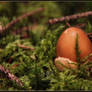 Forest Egg