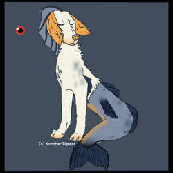 Adoptable-Siren Saluki (Price Reduced)