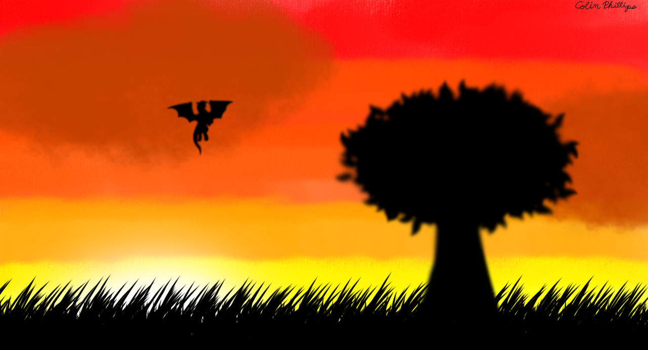 Sunset Flight