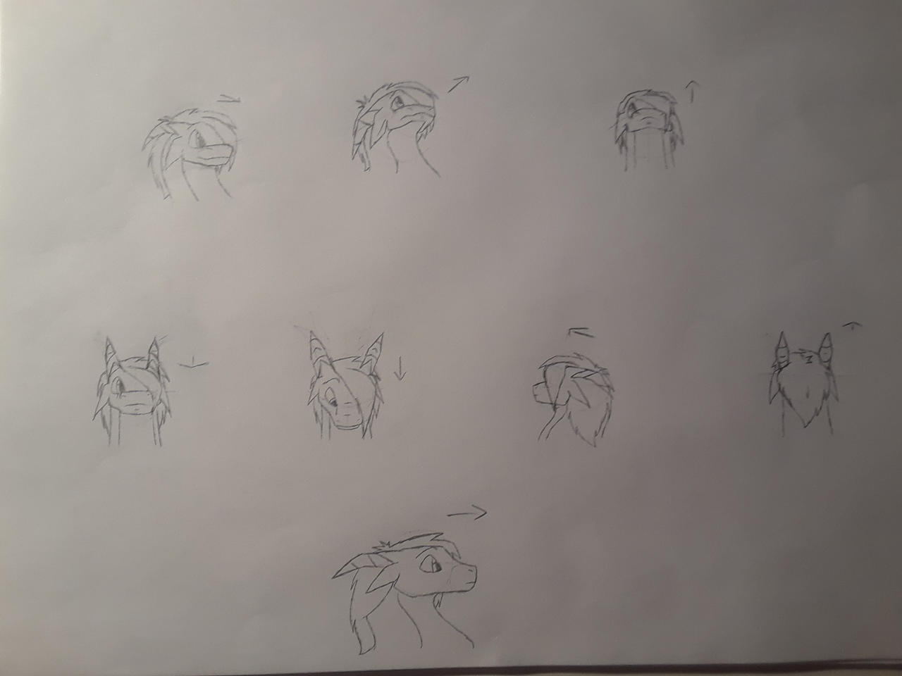 Rocky Angle Position Practice