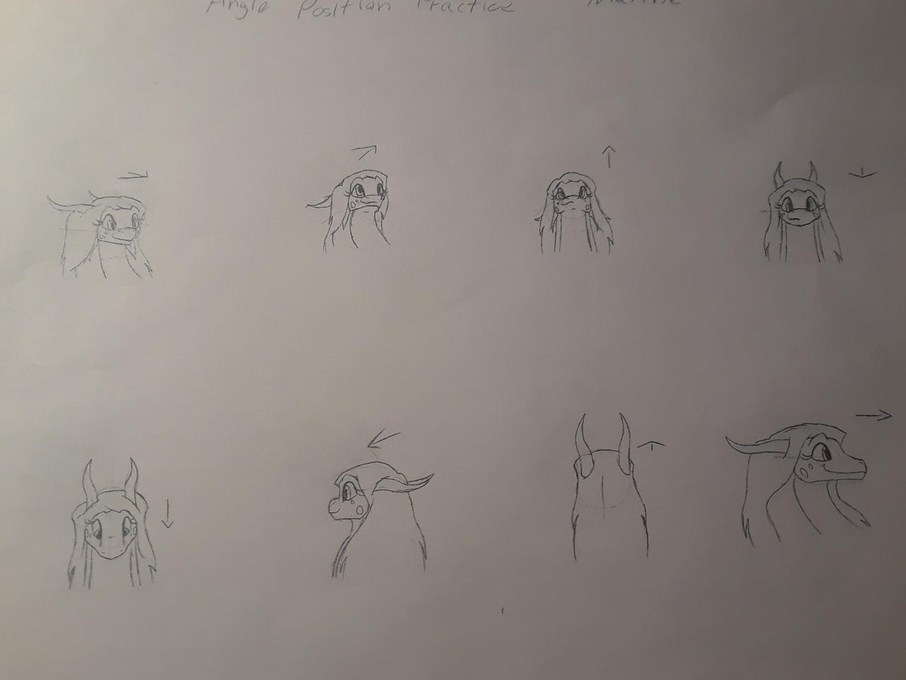 Marine Angle Position Practice