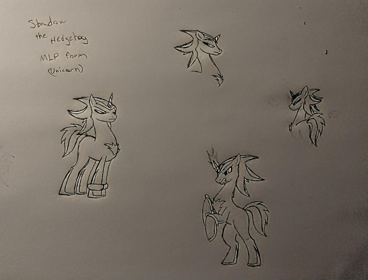 Shadow the Hedgehog MLP Form Concept