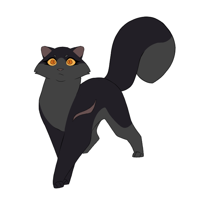 Bullfrog Nightcloud Nightcloud by GypsyDragonZephyr on DeviantArt