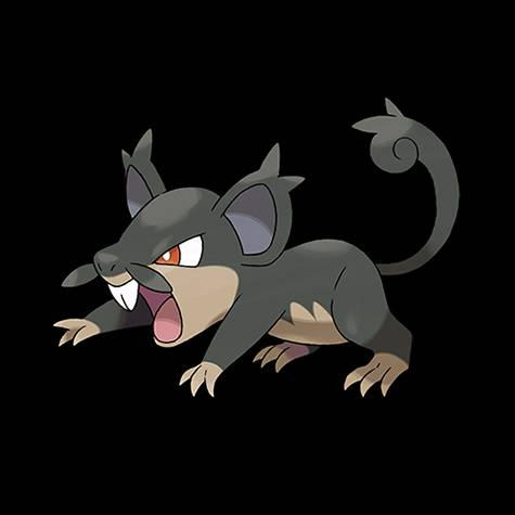 Rattata Alolan Form Render by ChrisAImDead on DeviantArt