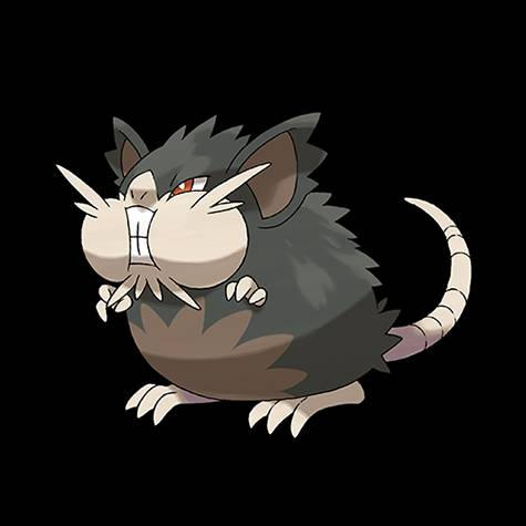 Raticate Alolan Form Render by ChrisAImDead on DeviantArt