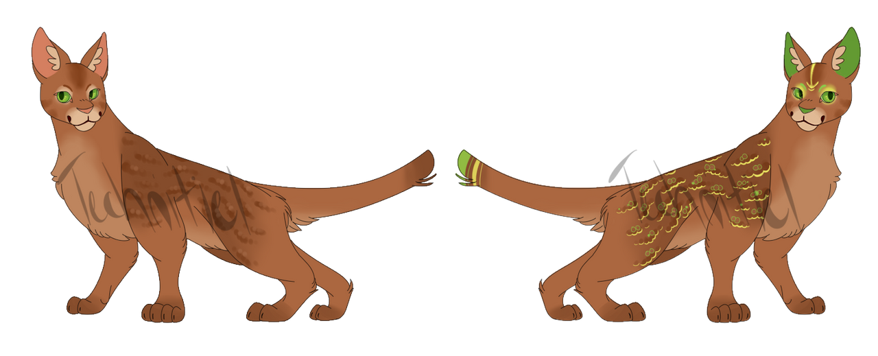 Warrior cats adopt by RaptorFeathers on DeviantArt