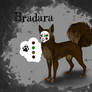 Character Ref. Sheet: Bradara