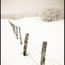 Snowy countryside