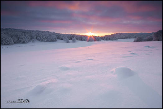 Aubrac, winter 2010, '5'