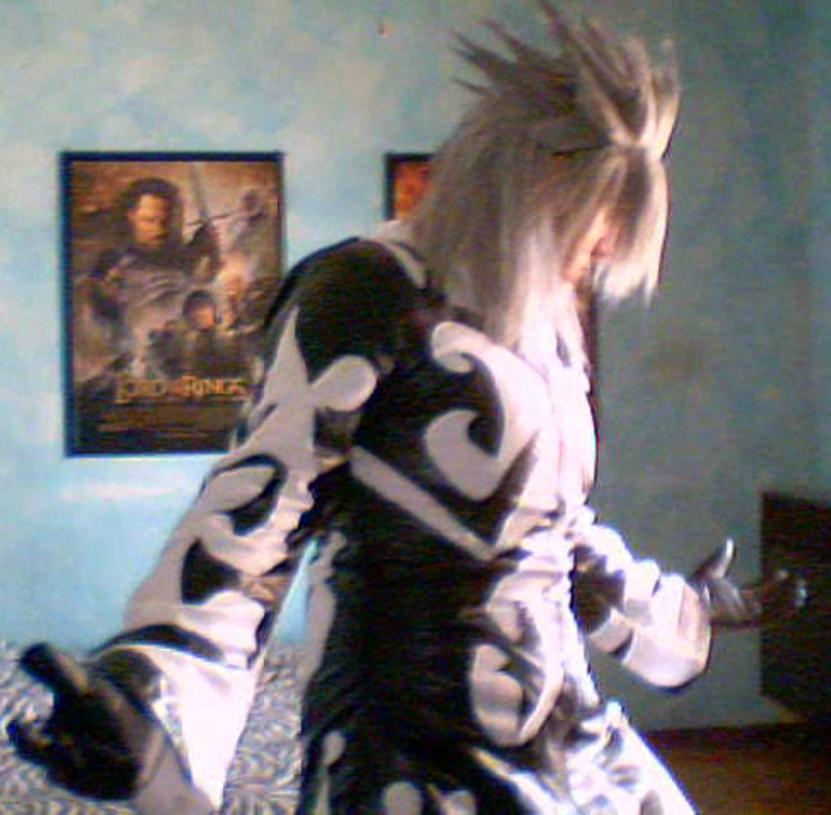 Xemnas - Final Form