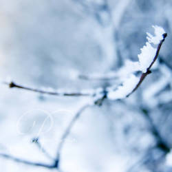 .winter melody II.