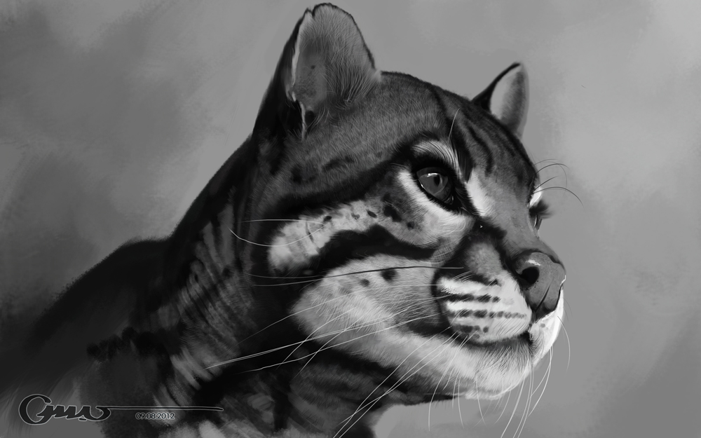 Fur Study