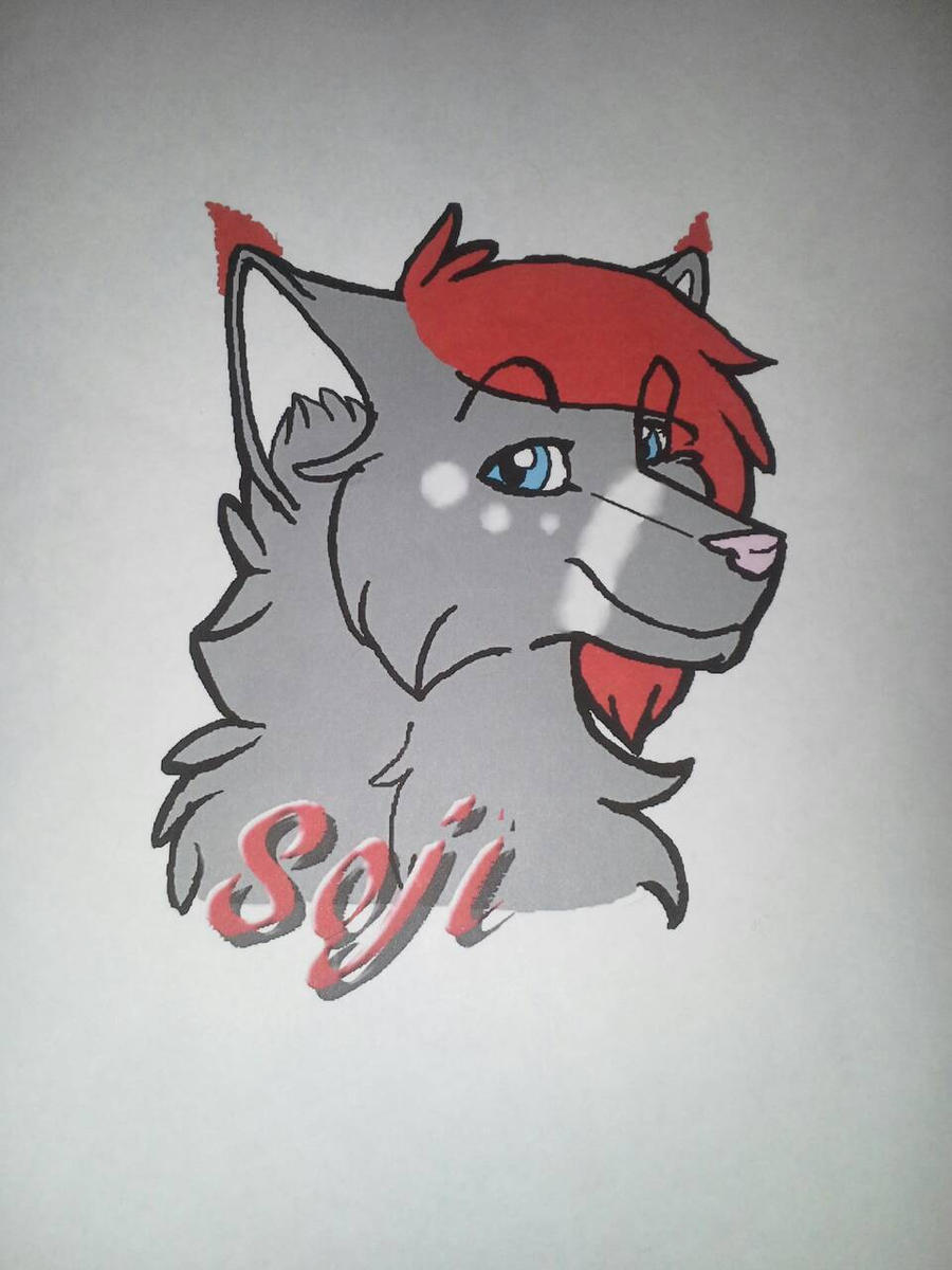 Soji -Furry OC-