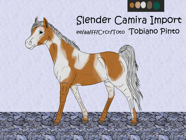 [CLOSED] Slender Camira Import