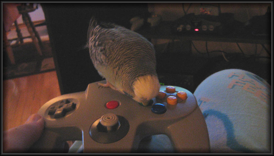 Chuiy I Want to Play Too by Chuiy on DeviantArt