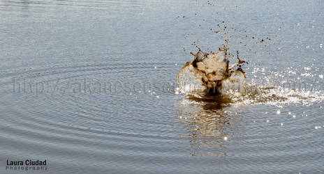 Agua y Barro